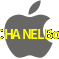 Aplicativo CHANELBoi para iOS